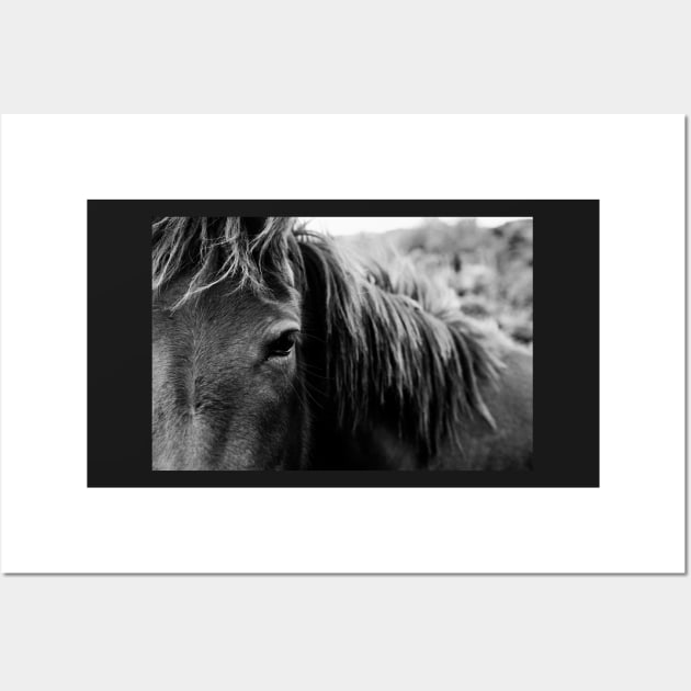 Wild Horse Up Close Wall Art by visualspectrum